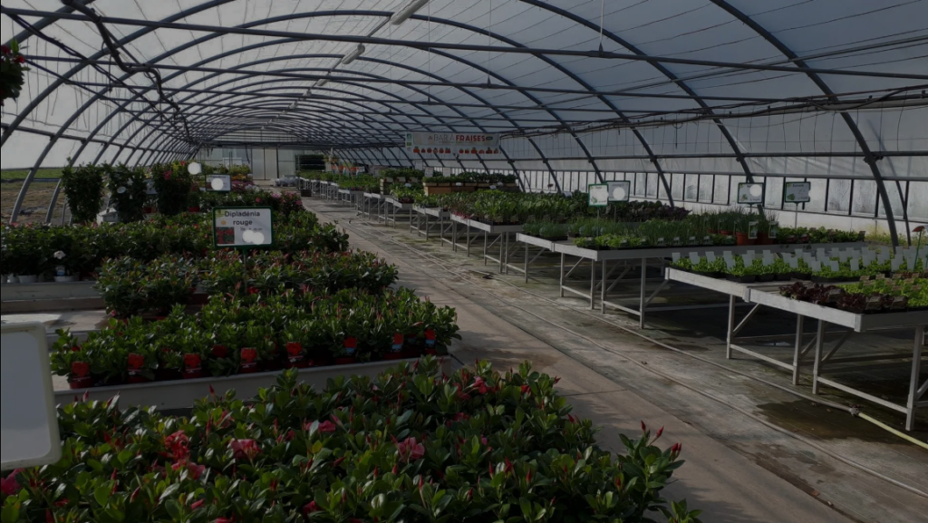 design sans titre (8)