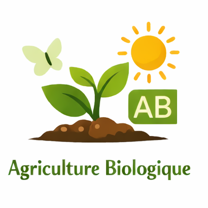 Home chatgpt image 9 févr. 2026, 13 25 44